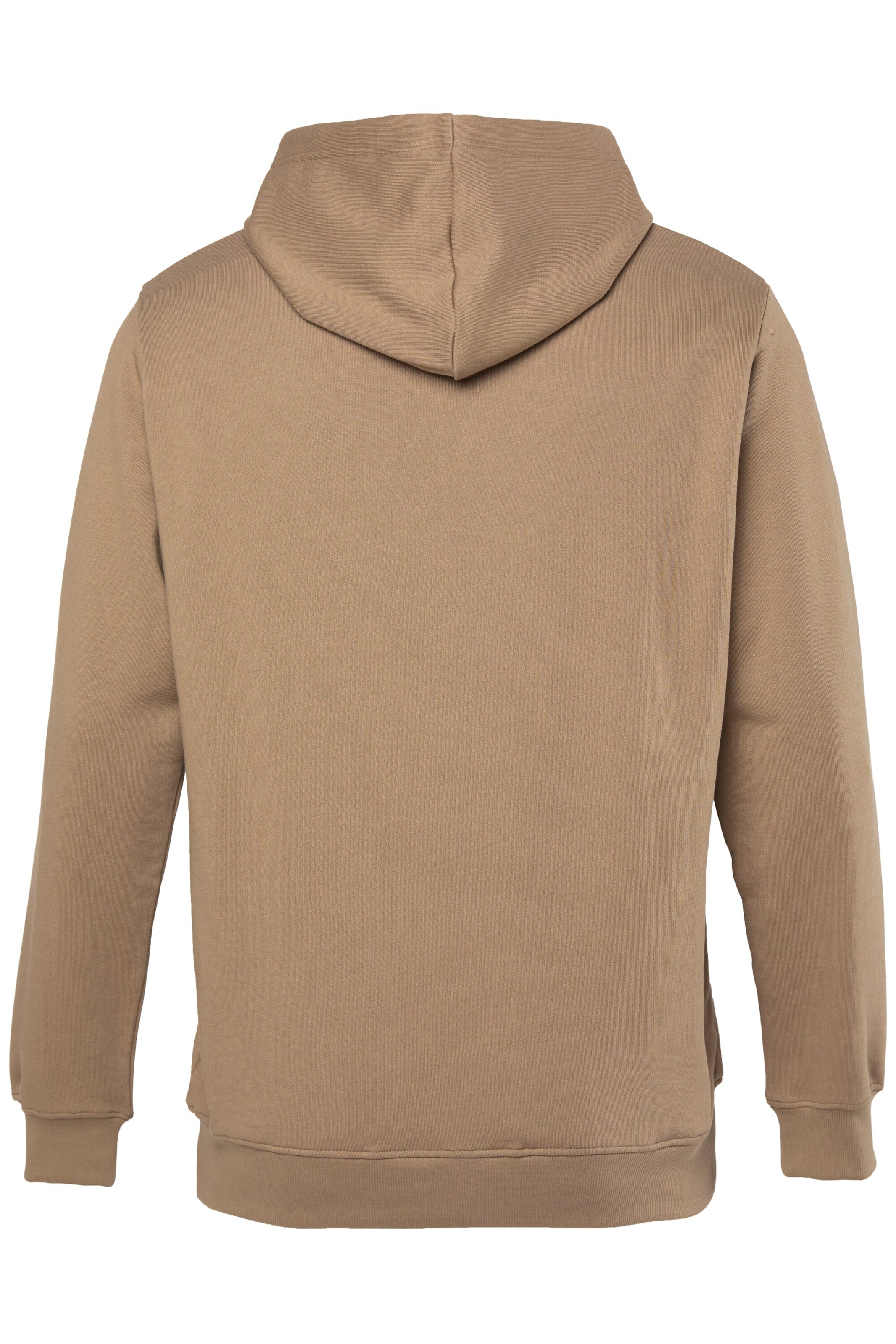 Men Plus Sweatshirt in Beige