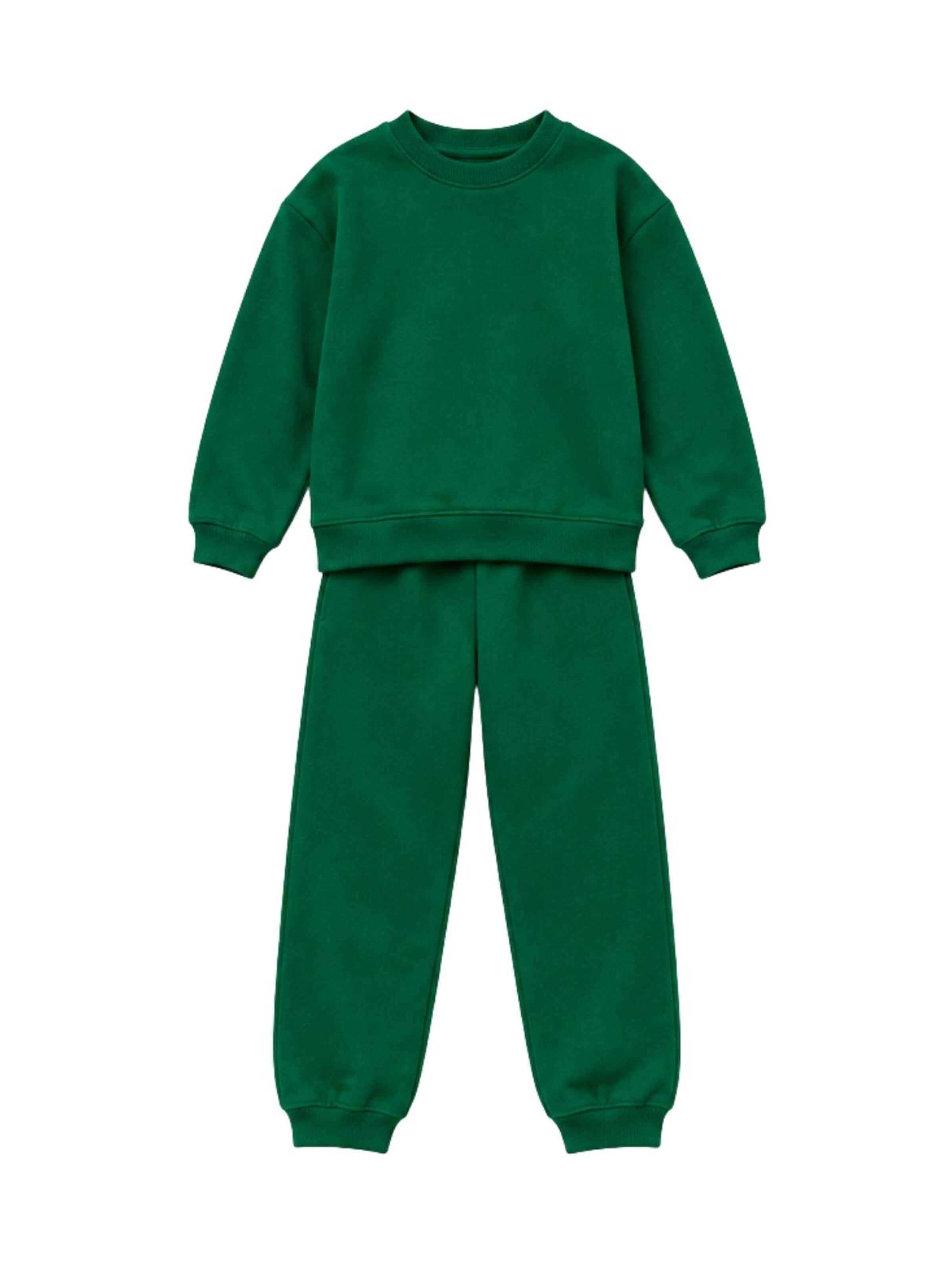 LOUIS LECLER Joggingpak 'Leo' in Groen: voorkant