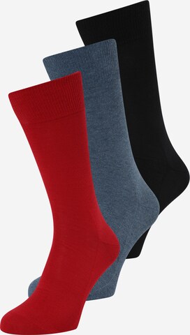 Chaussettes 'Family' FALKE en bleu : devant