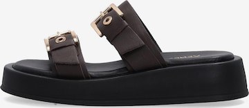 VENEZIA Mules in Brown: front