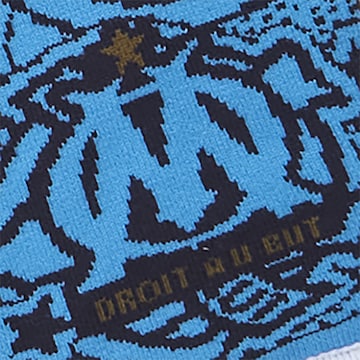 PUMA Sports Scarf 'Olympique de Marseille Essentials' in Blue