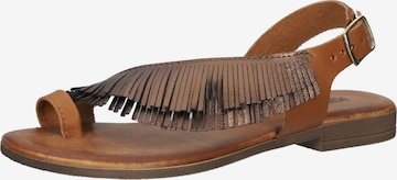 IGI&CO T-Bar Sandals in Brown: front