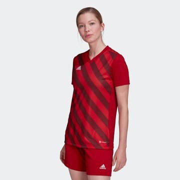 Maglia trikot 'Entrada 22' di ADIDAS SPORTSWEAR in rosso: frontale