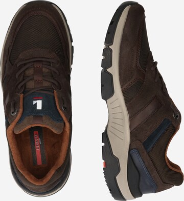 LLOYD Sneakers 'Erco' in Brown