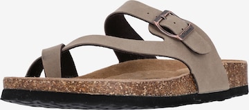 Cruz T-Bar Sandals 'HARDINBURG' in Brown: front