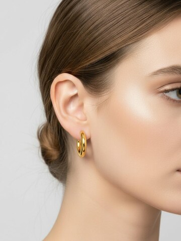 Maxte Ohrringe‌‌‌‌ in Gold