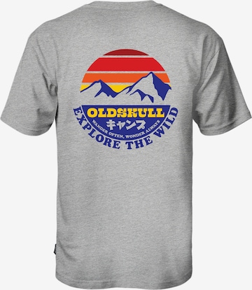 Oldskull Shirt 'Wrldvibe Explore The Wild' in Grijs: voorkant