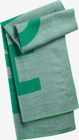 CODELLO Scarf in Green