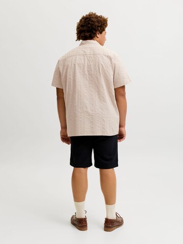 JACK & JONES Regular Fit Skjorte i grå