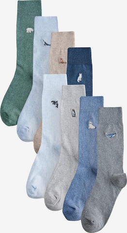 Next Sukat värissä monivärinen: etupuoli