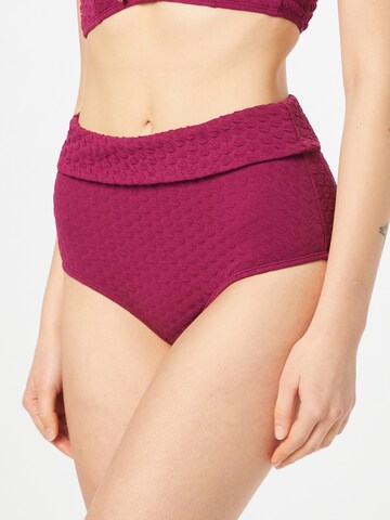 LingaDore Bikini Bottoms in Purple: front