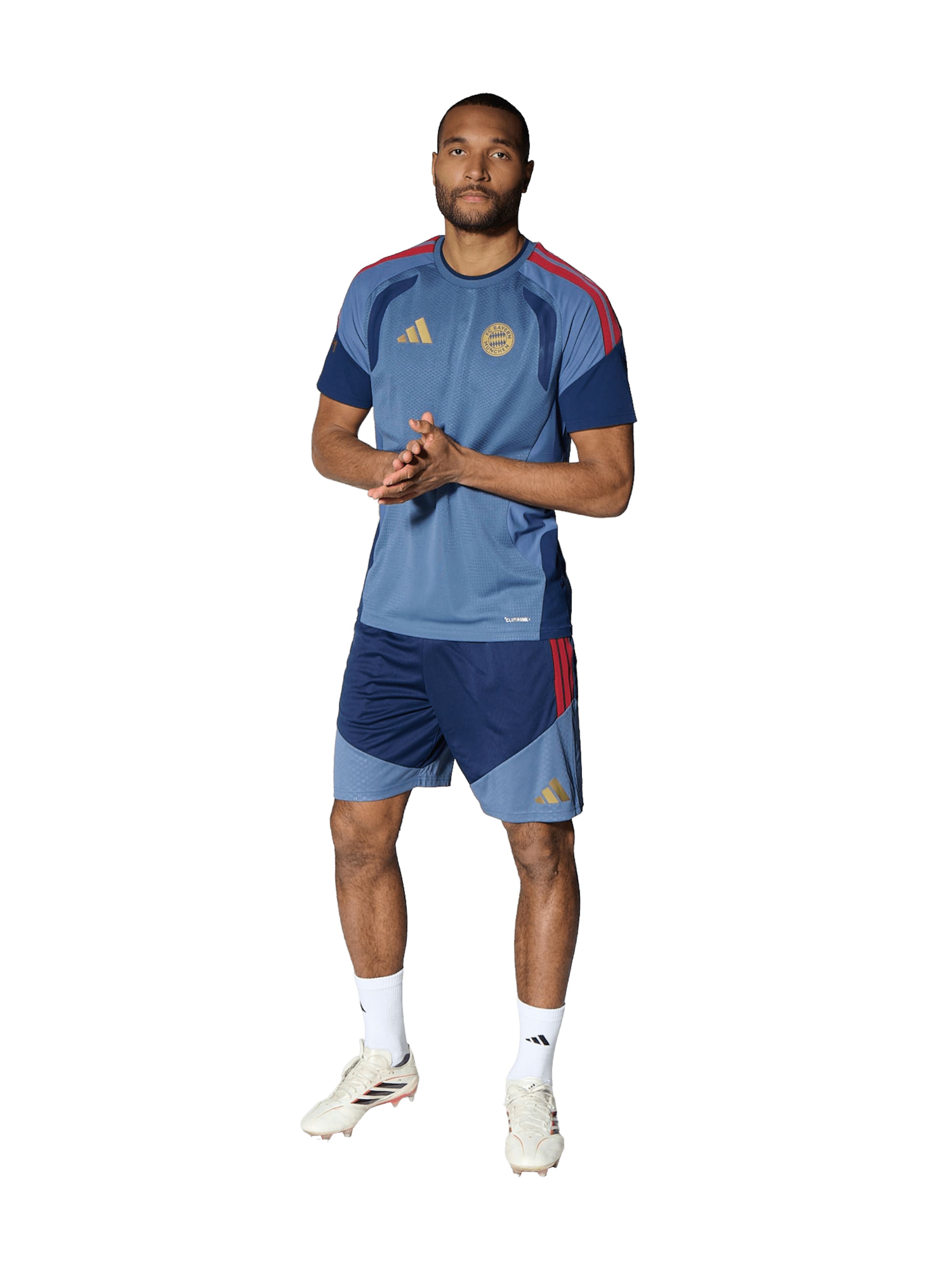 ADIDAS PERFORMANCE Performance Shirt in Blue