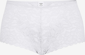 Panty 'Natural Comfort Lace' di CALIDA in bianco: frontale
