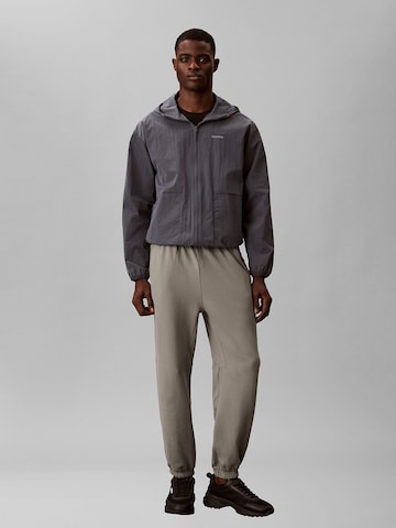 Calvin Klein Tapered Pants in Grey