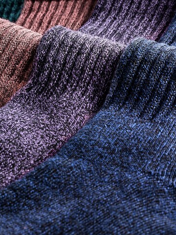 Next Socks in Blue