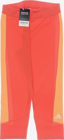 ADIDAS PERFORMANCE Pants in S in Orange: front