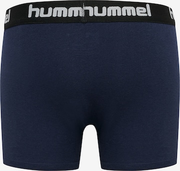 Hummel Unterhose 'Nolan' in Blau