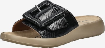 Mule IGI&CO en noir : devant
