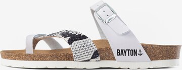 Bayton Šľapky 'Diane' - Zlatá: predná strana