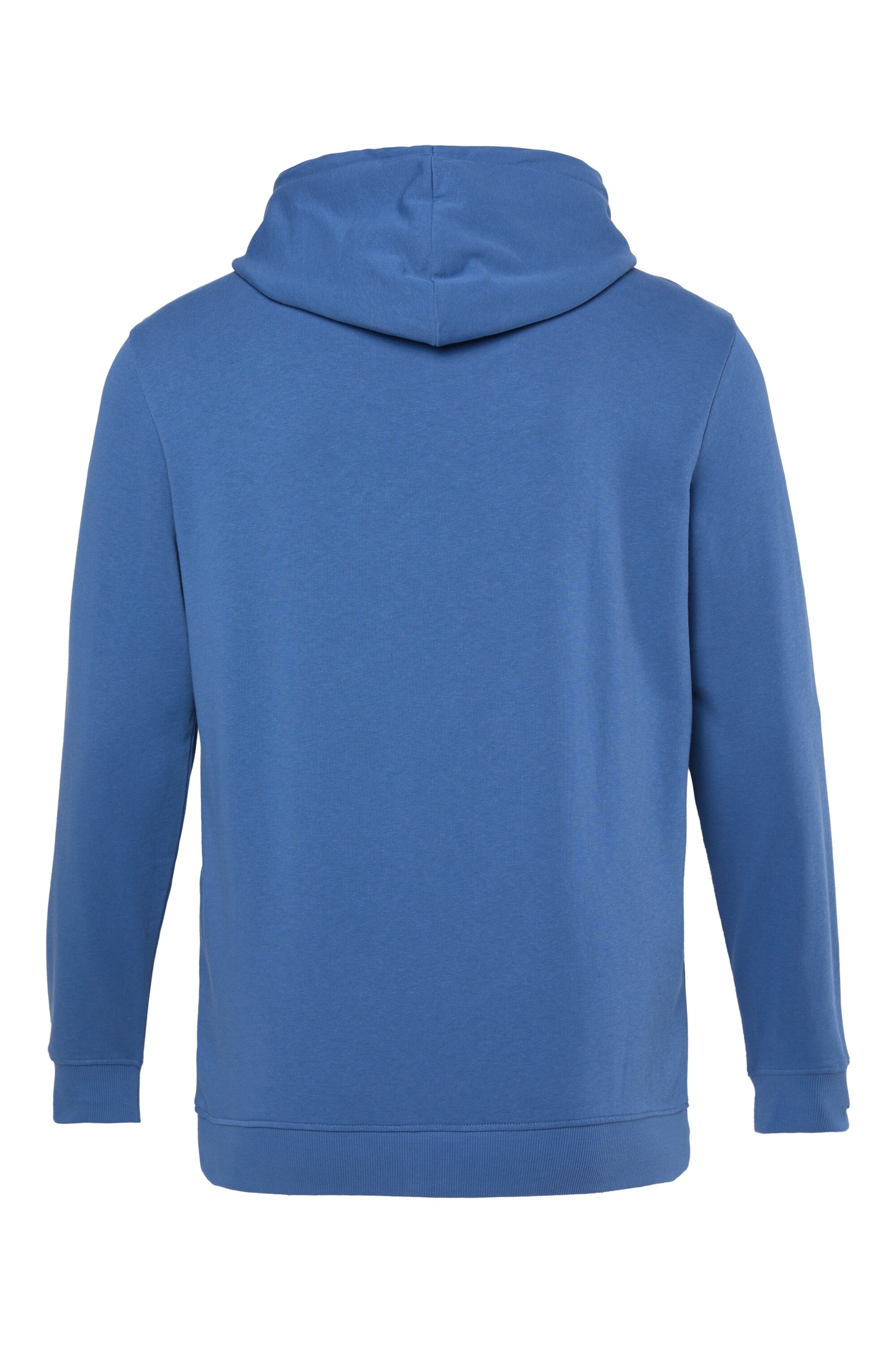 Men Plus Sweatshirt in Blau
