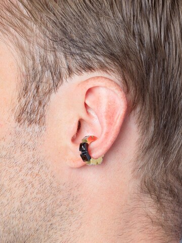 YParis Oorbellen 'Ear cuff Lex GB' in Goud