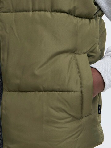 Gilet 'BHElwin' BLEND en vert