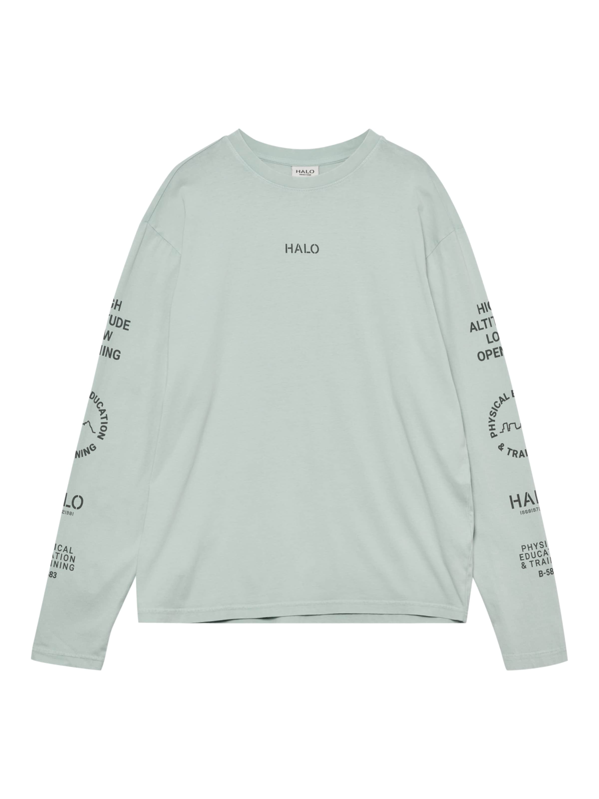 HALO Shirt in Green: front