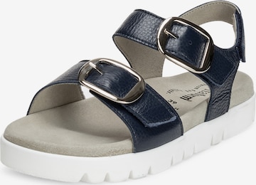 Sandales à lanières VITAFORM en bleu : devant