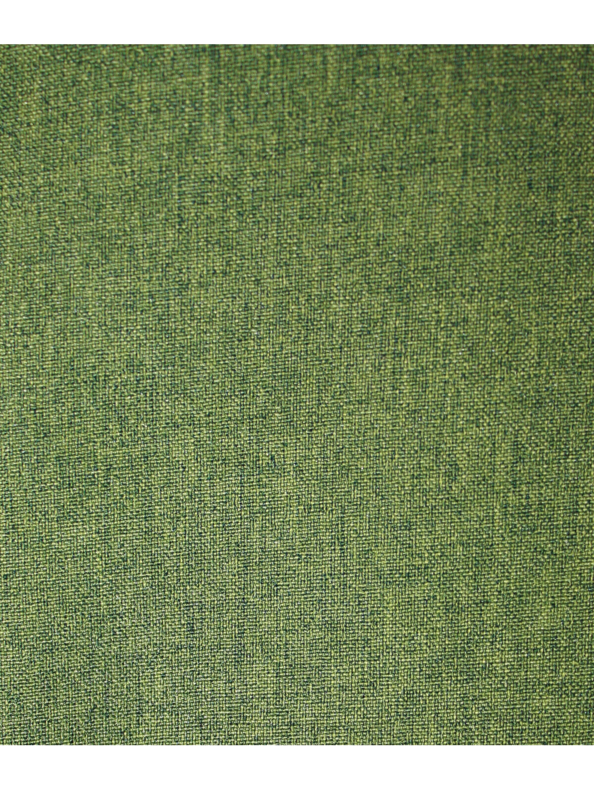 dunkle design Skirt in Green