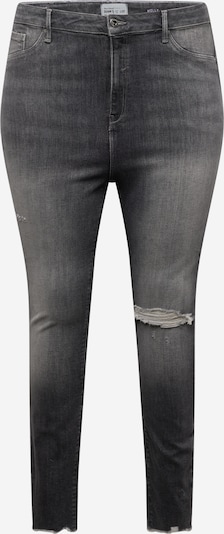 River Island Plus Jeans 'MOLLY' in Grey denim, Item view