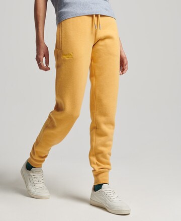 Superdry Tapered Pants in Yellow: front