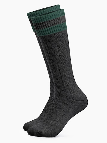HerzSticht Traditional socks 'Wiesendistel' in Grey: front