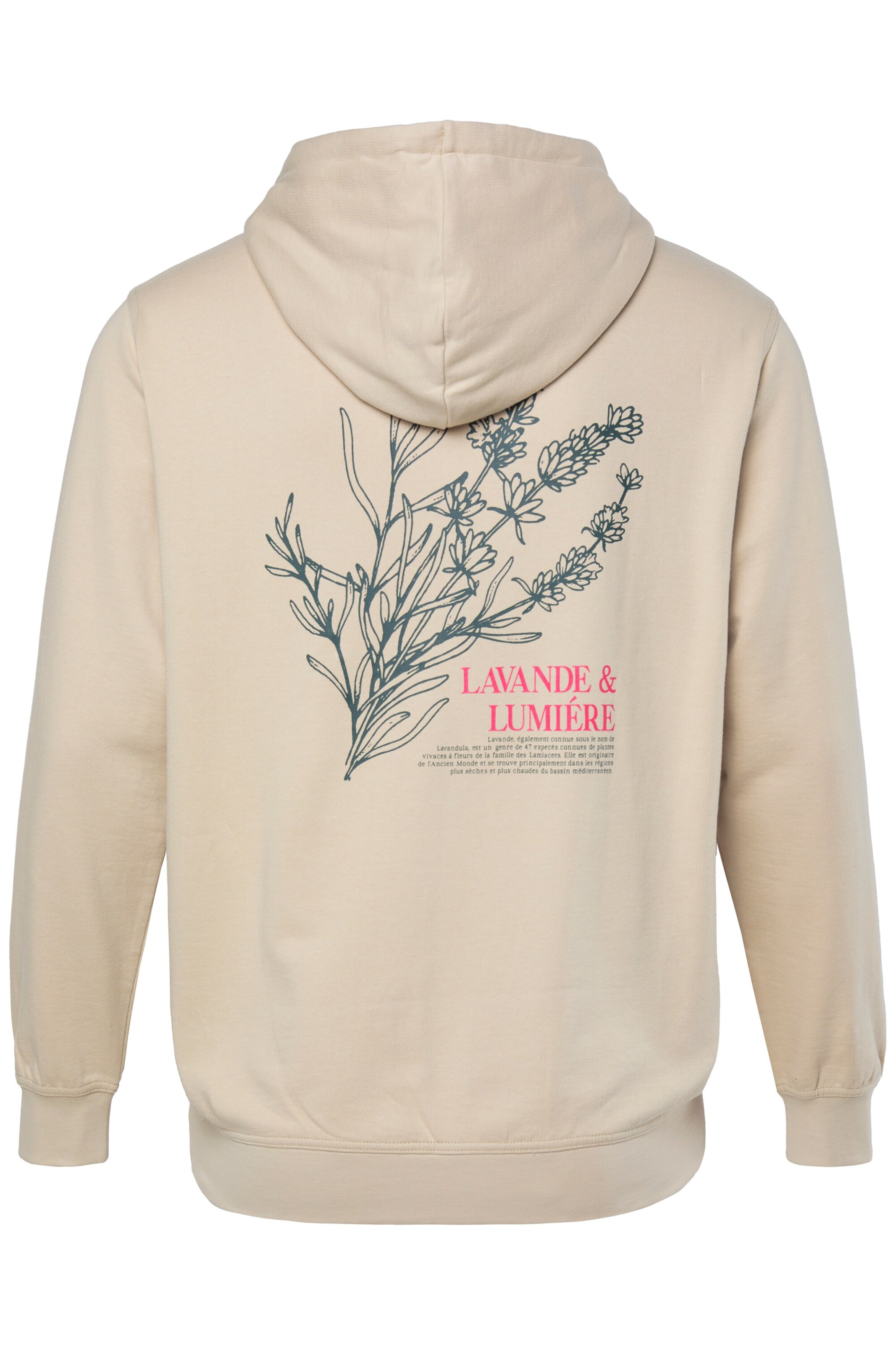 Men Plus Sweatshirt in Beige