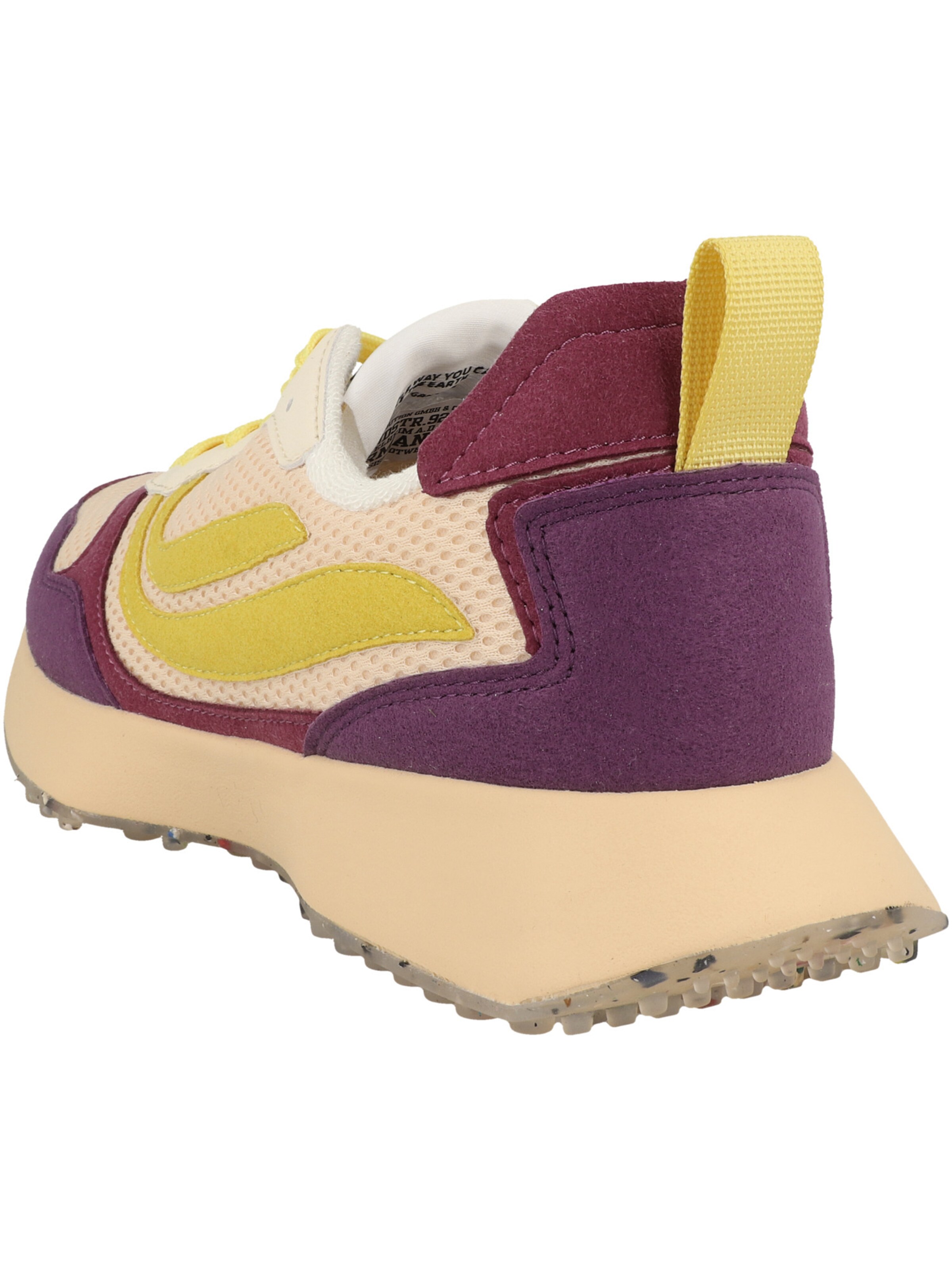 GENESIS Sneakers in Mixed colors