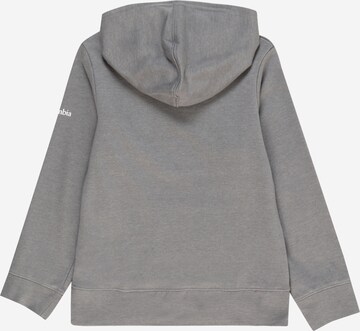 COLUMBIA Athletic Sweatshirt 'Columbia Trek™' in Grey