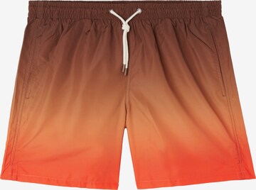 CALZEDONIA Board Shorts in Brown: front