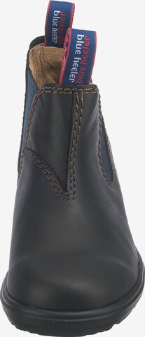 Blue Heeler Boots 'Wombat' in Brown