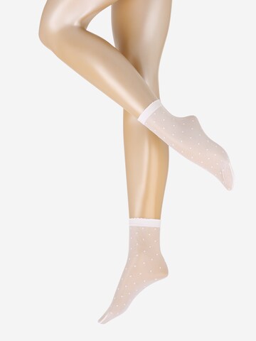 FALKE Socks in White