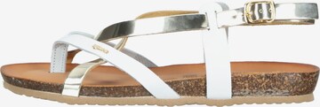 IGI&CO Sandalen met riem in Wit