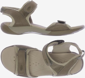 CLARKS Sandals & High-Heeled Sandals in 35,5 in Green: front