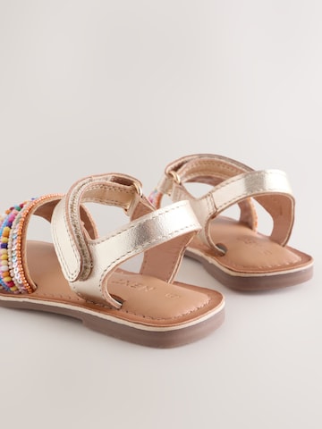 Next Sandale in Mischfarben