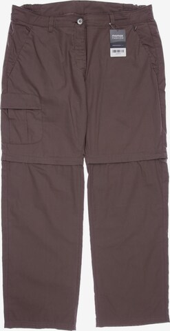 REGATTA Pants in XL in Brown: front