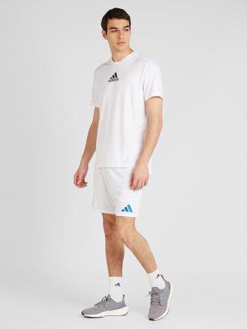 balta ADIDAS PERFORMANCE Standartinis Sportinės kelnės 'Italy 24'