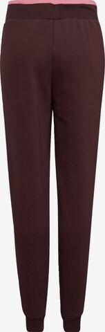 Effilé Pantalon de sport 'All Szn Fleece' ADIDAS SPORTSWEAR en marron