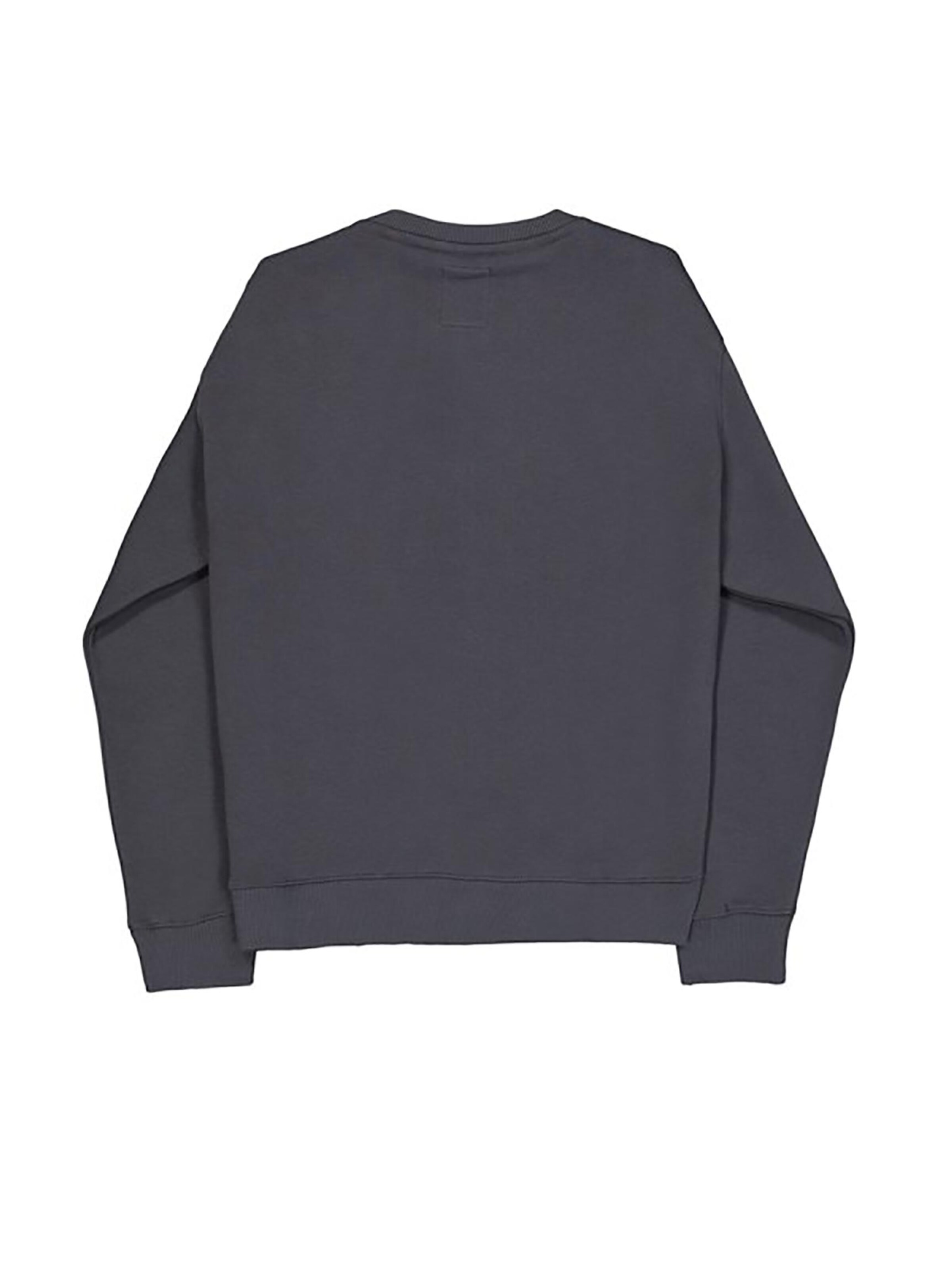 ALPHA INDUSTRIES Sweatshirt 'Edge' in Grey