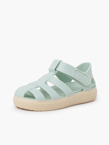 Claquettes / Tongs IGOR en vert : devant