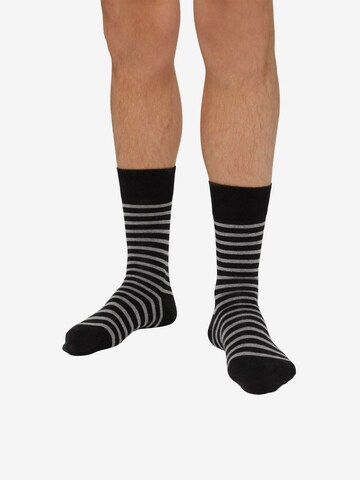 Chaussettes ESPRIT en noir : devant