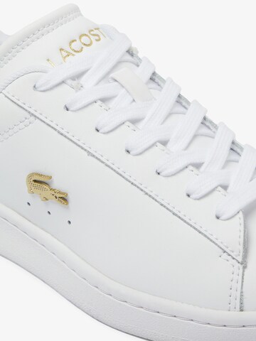 LACOSTE Sneaker low 'Carnaby Set' i hvid