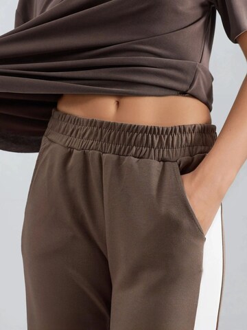 Hiccup Wide leg Pants in Brown