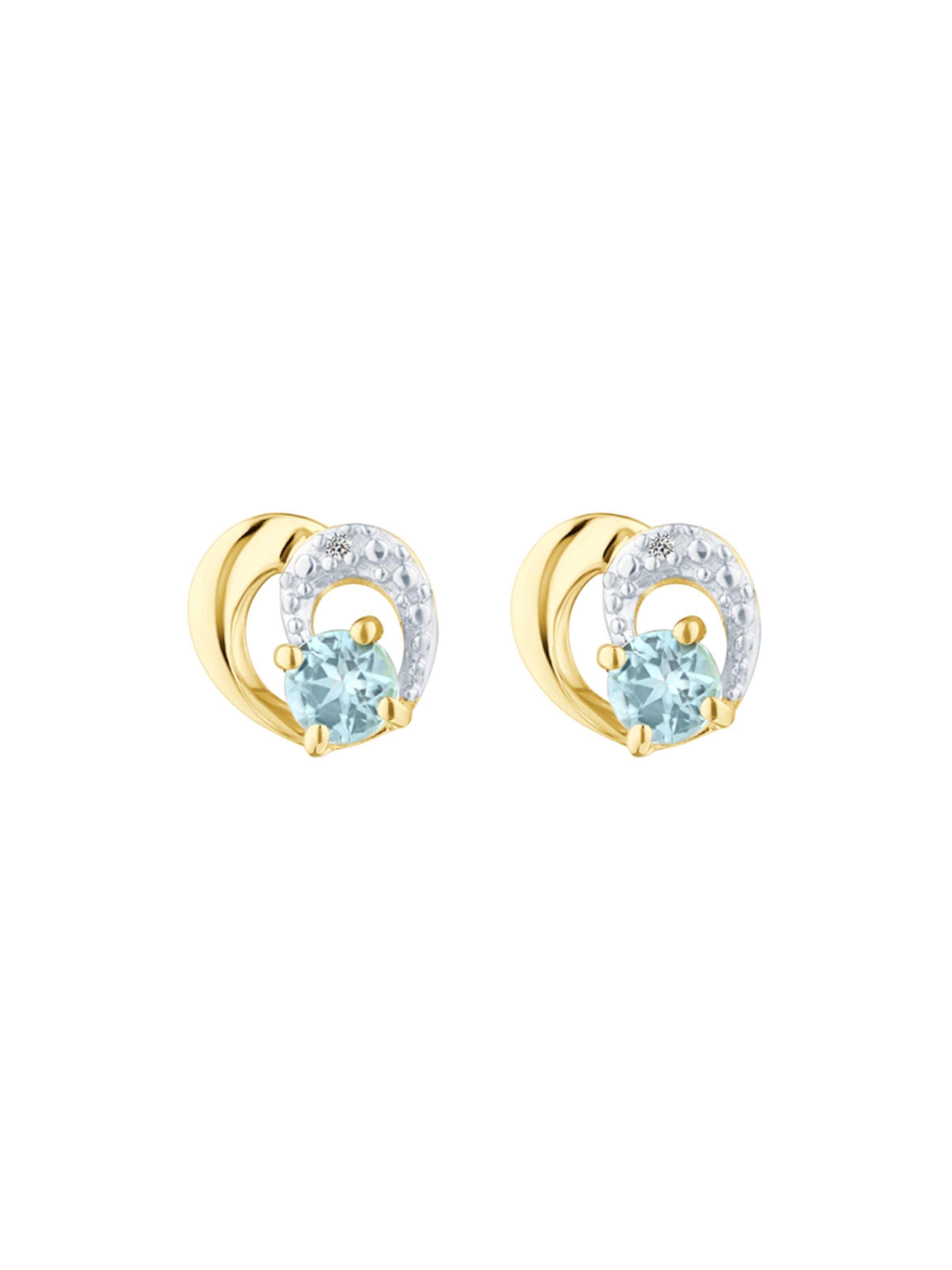 DIAMANT LETERNEL Earrings in Gold: front